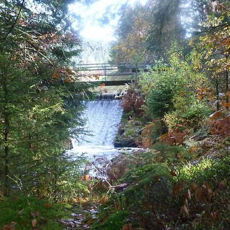 Domaine Des Hauts Viaux La Bresse Eksteriør bilde