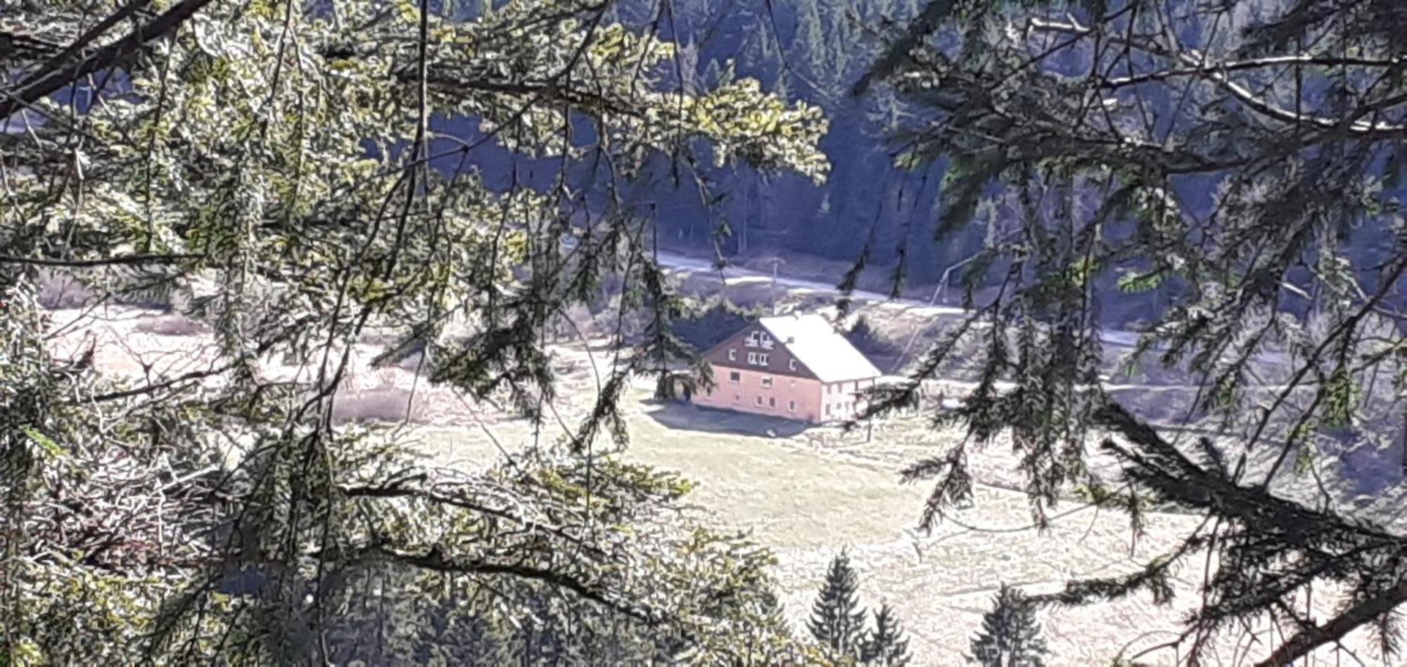 Domaine Des Hauts Viaux La Bresse Eksteriør bilde