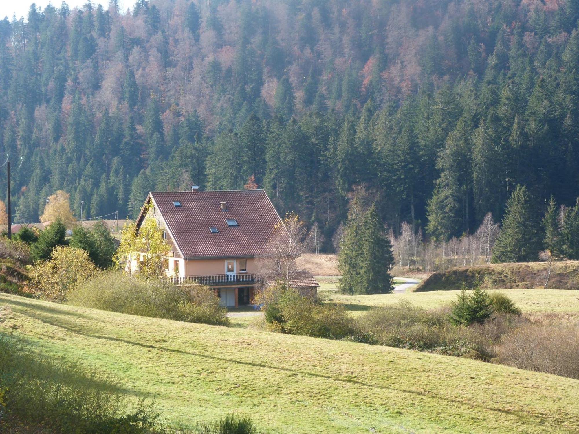 Domaine Des Hauts Viaux La Bresse Eksteriør bilde