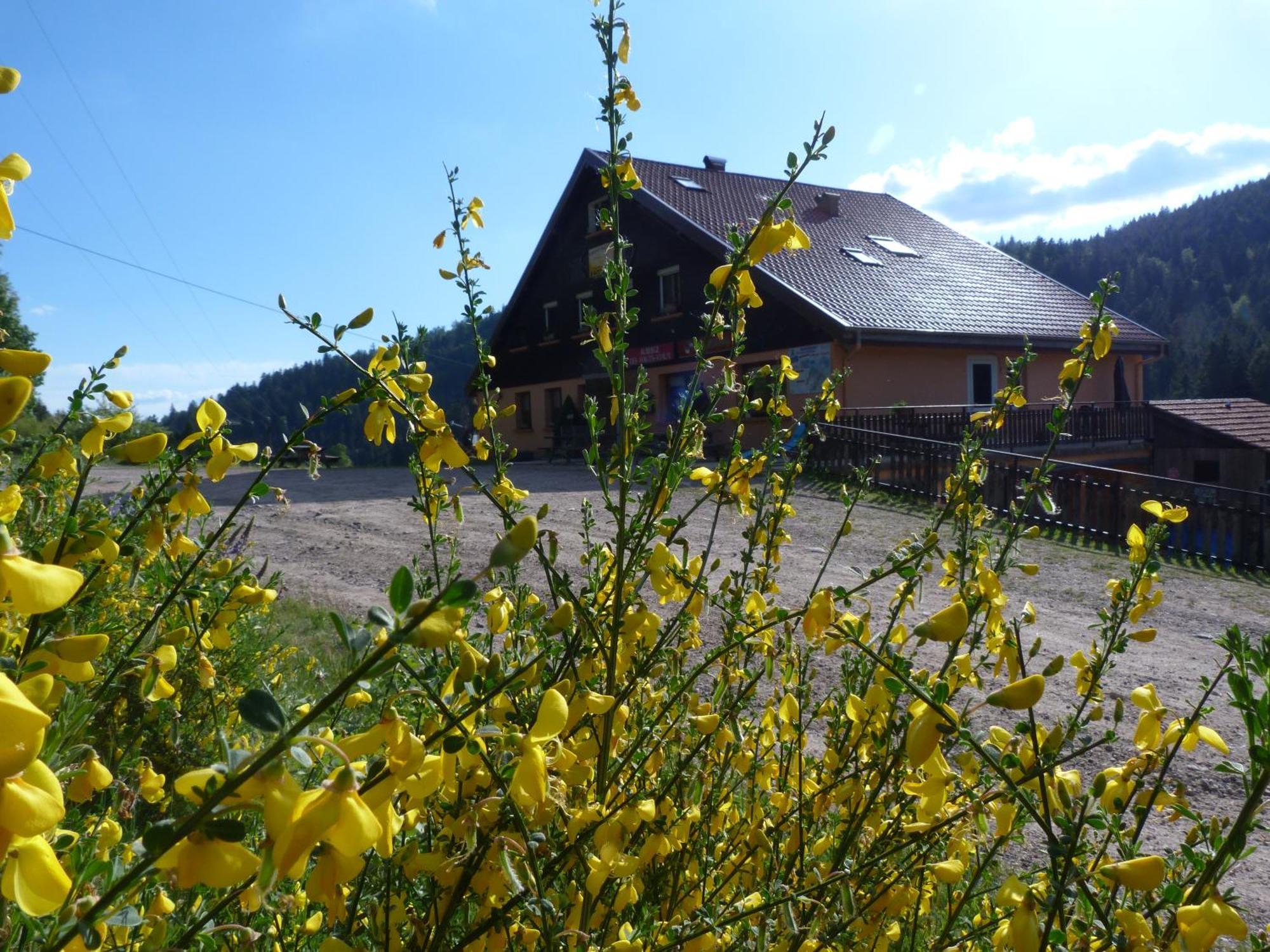 Domaine Des Hauts Viaux La Bresse Eksteriør bilde