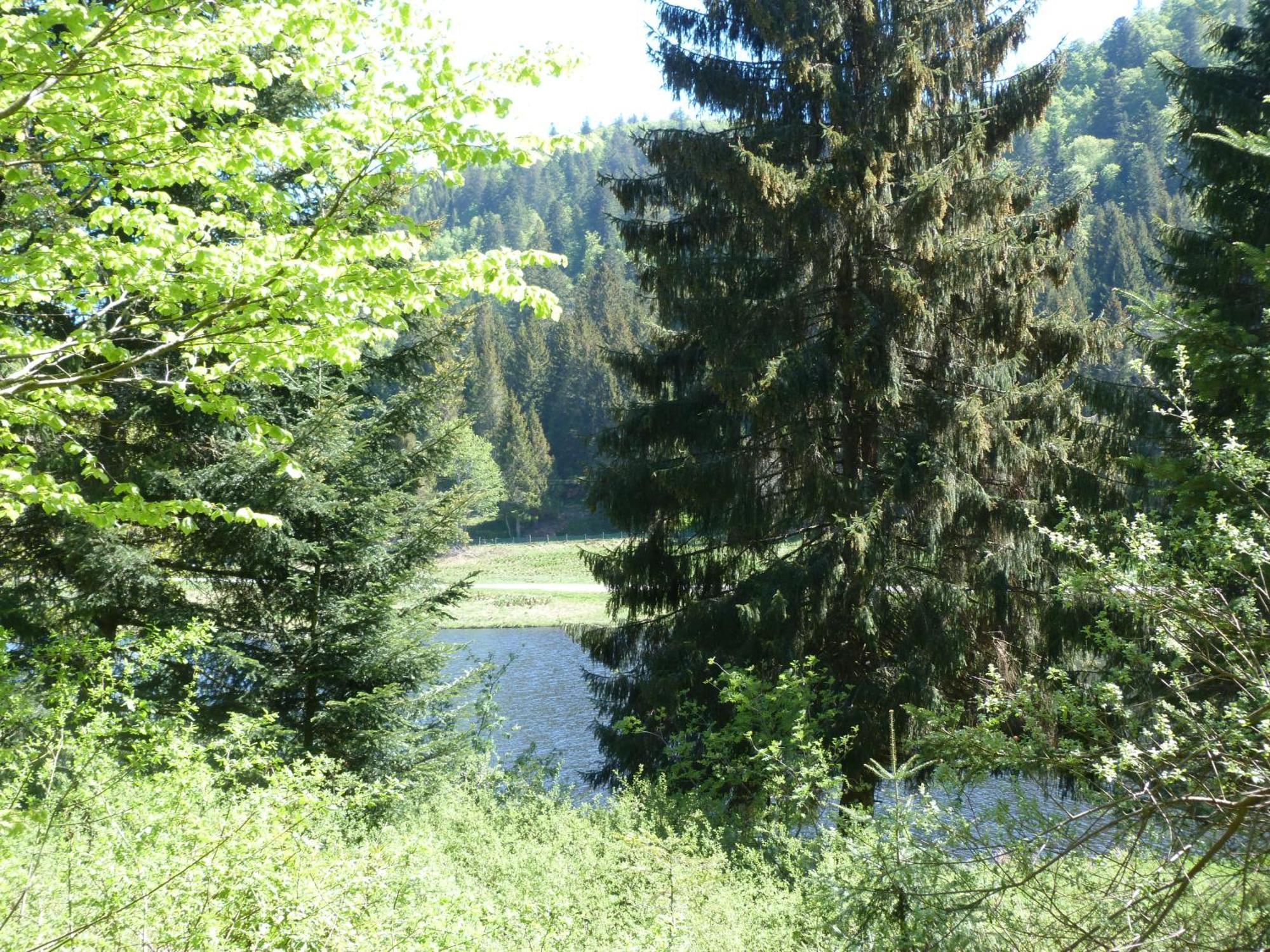 Domaine Des Hauts Viaux La Bresse Eksteriør bilde