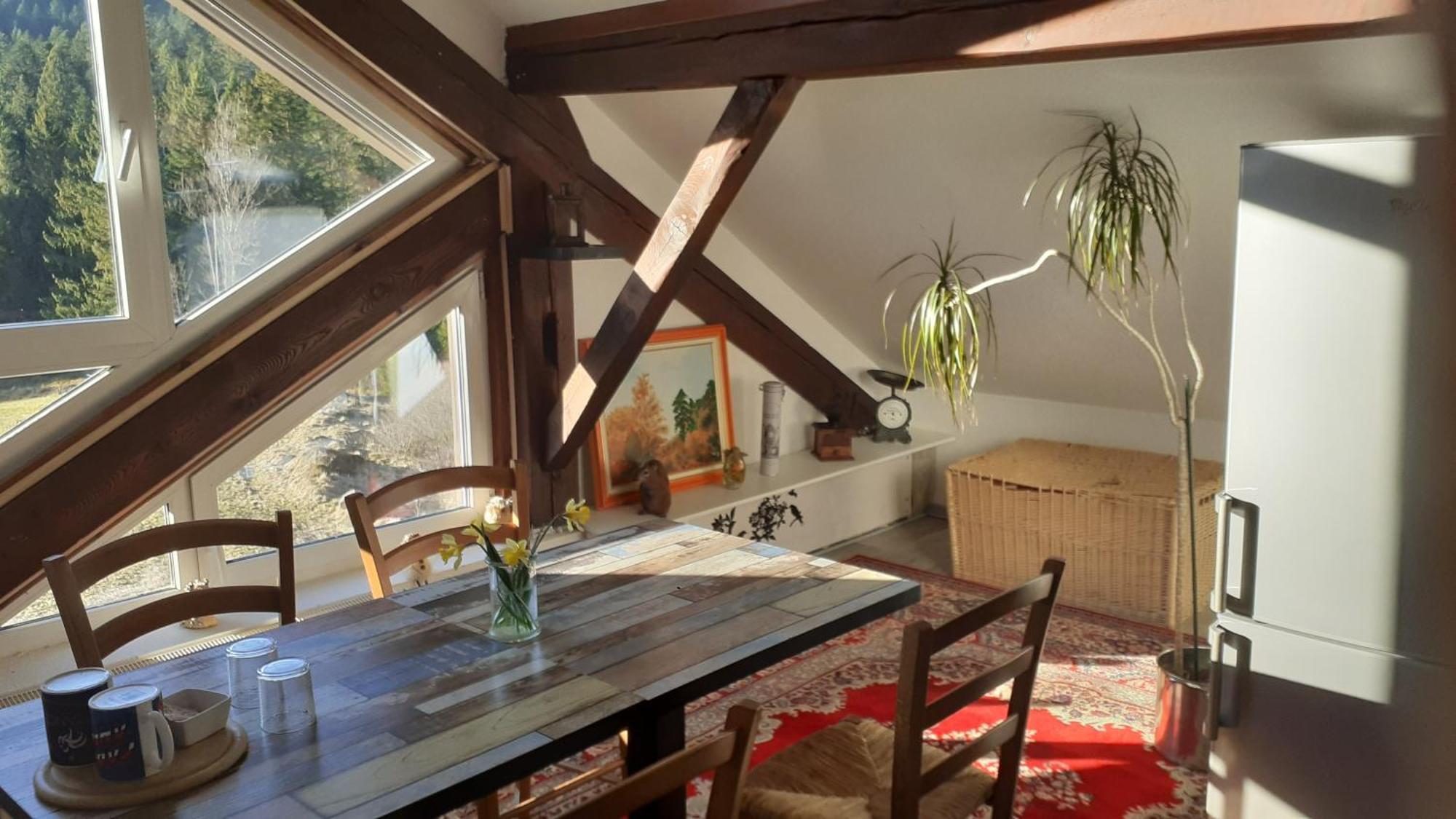 Domaine Des Hauts Viaux La Bresse Eksteriør bilde