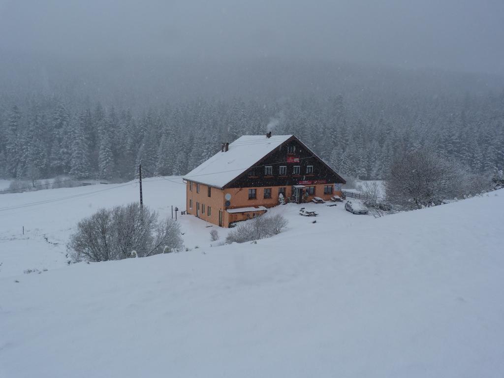 Domaine Des Hauts Viaux La Bresse Eksteriør bilde