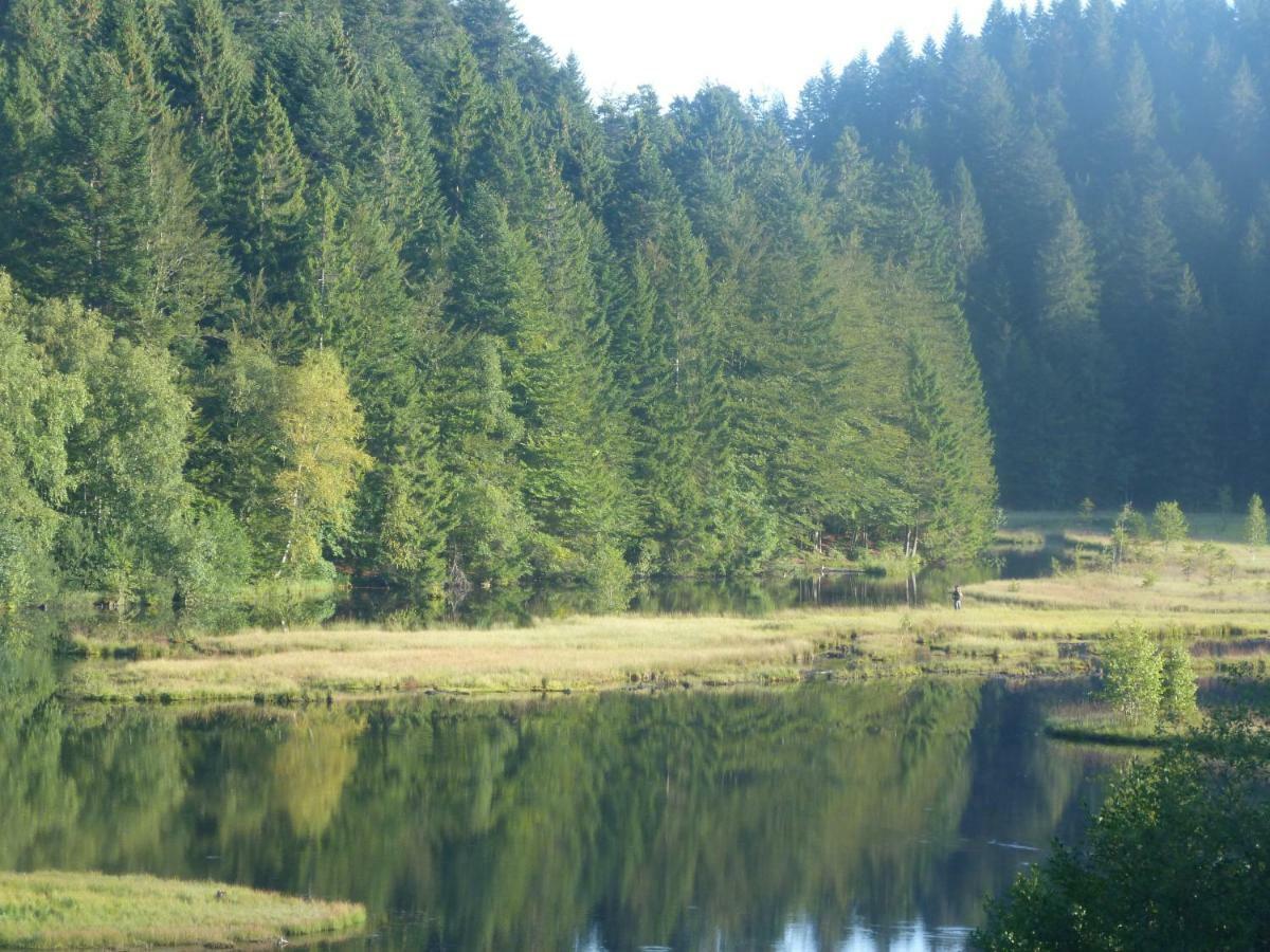 Domaine Des Hauts Viaux La Bresse Eksteriør bilde