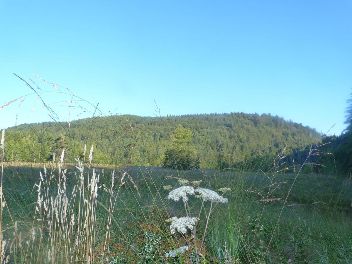 Domaine Des Hauts Viaux La Bresse Eksteriør bilde