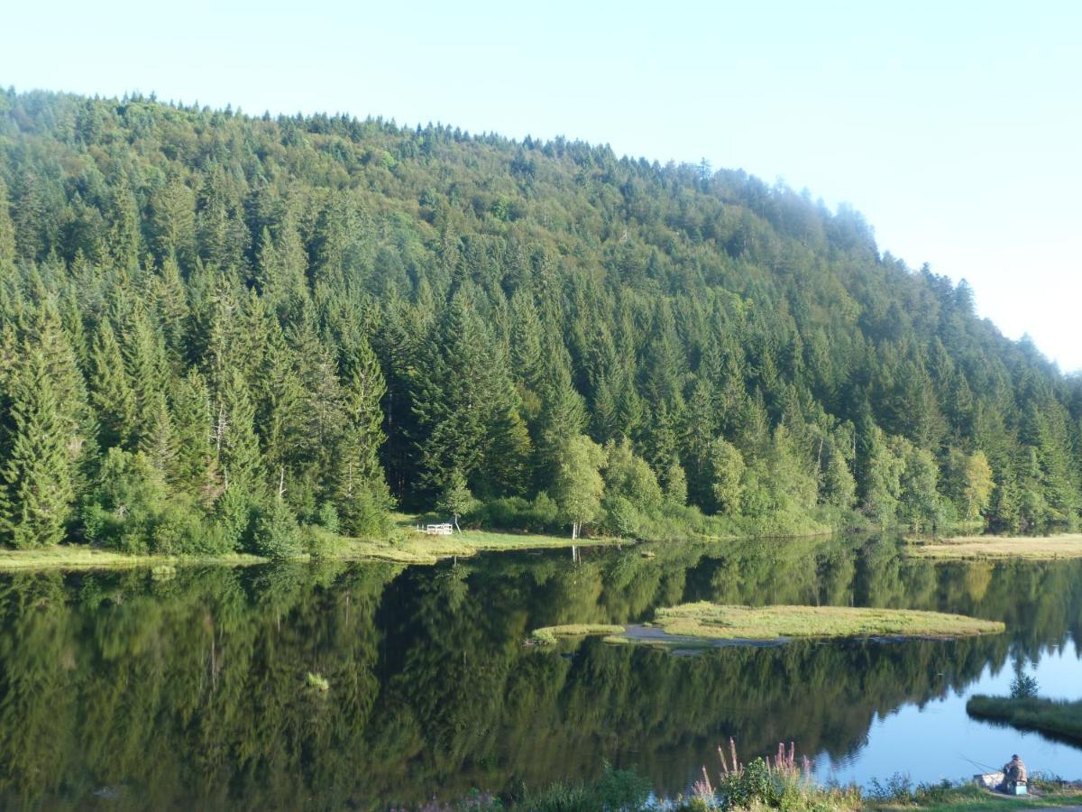 Domaine Des Hauts Viaux La Bresse Eksteriør bilde