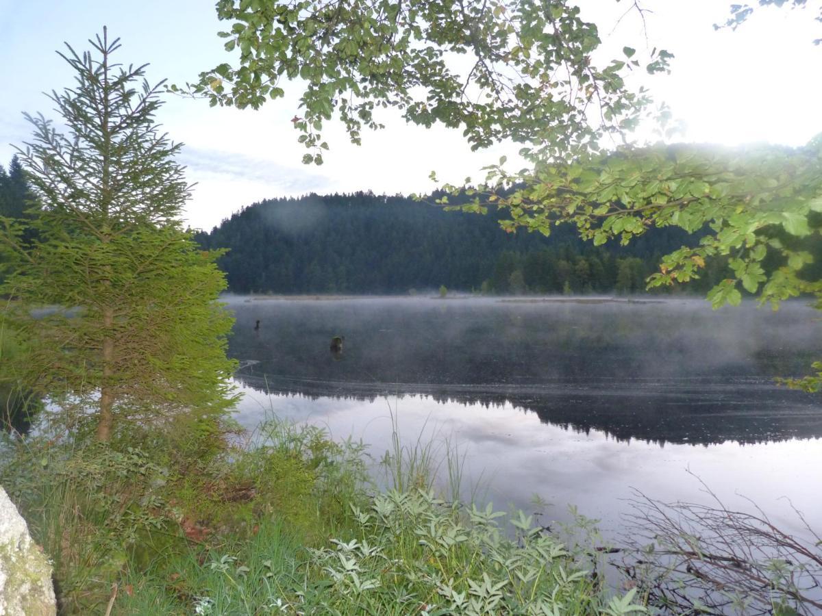 Domaine Des Hauts Viaux La Bresse Eksteriør bilde